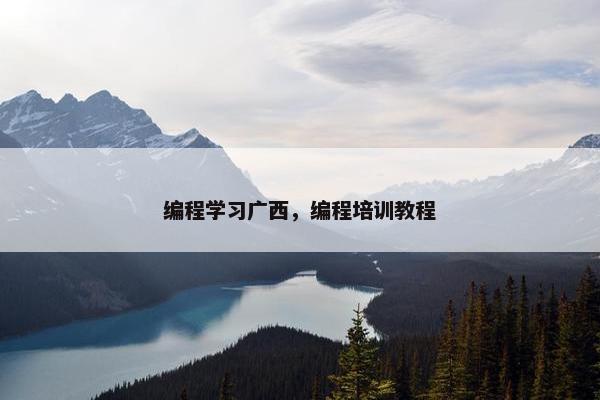 编程学习广西，编程培训教程