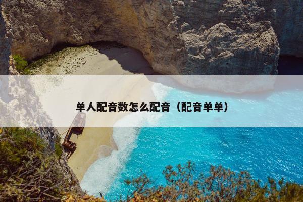 单人配音数怎么配音（配音单单）