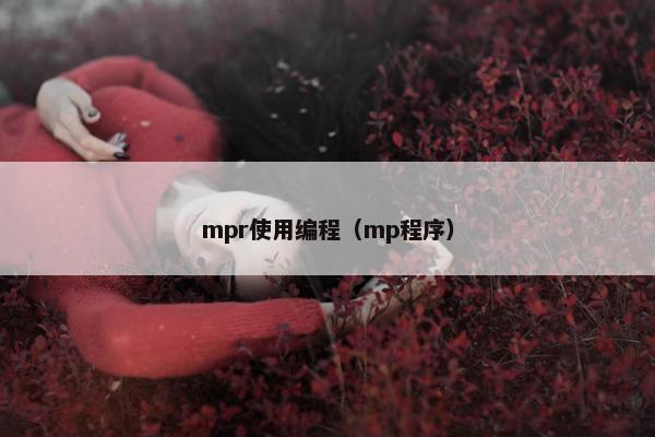 mpr使用编程（mp程序）