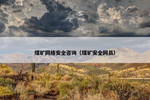 煤矿网络安全咨询（煤矿安全网员）