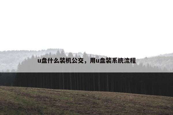 u盘什么装机公交，用u盘装系统流程