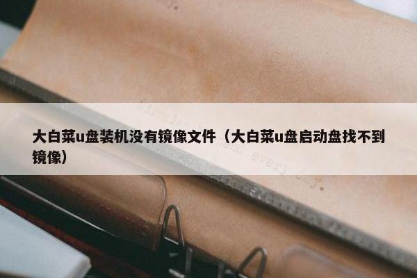 大白菜u盘装机没有镜像文件（大白菜u盘启动盘找不到镜像）