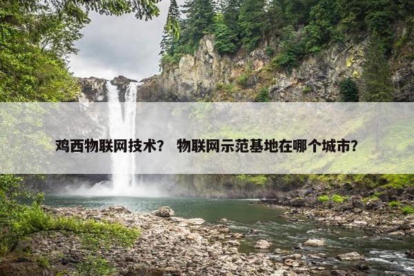 鸡西物联网技术？ 物联网示范基地在哪个城市？