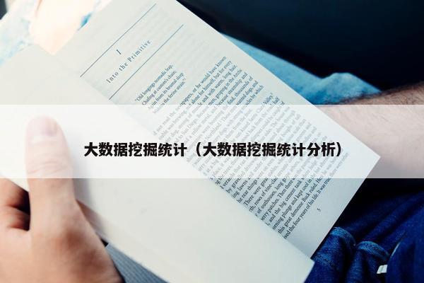 大数据挖掘统计（大数据挖掘统计分析）