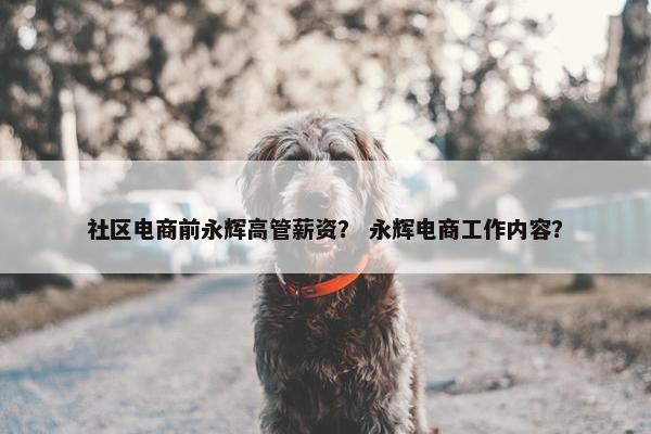 社区电商前永辉高管薪资？ 永辉电商工作内容？