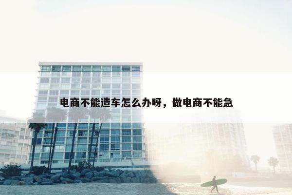 电商不能造车怎么办呀，做电商不能急