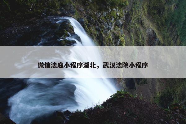 微信法庭小程序湖北，武汉法院小程序