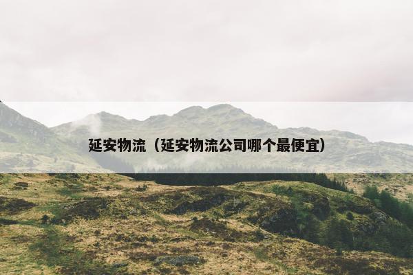 延安物流（延安物流公司哪个最便宜）