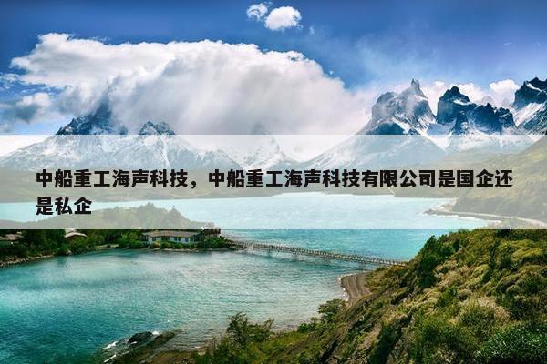 中船重工海声科技，中船重工海声科技有限公司是国企还是私企