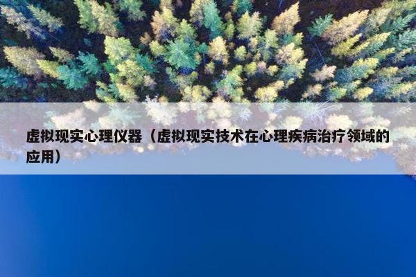 虚拟现实心理仪器（虚拟现实技术在心理疾病治疗领域的应用）