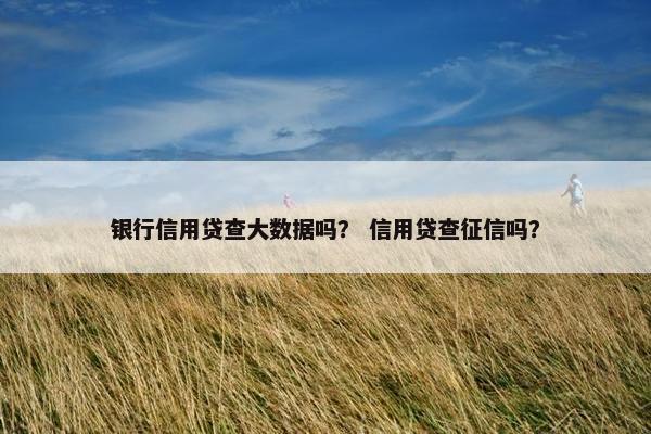 银行信用贷查大数据吗？ 信用贷查征信吗？
