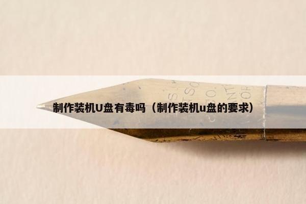 制作装机U盘有毒吗（制作装机u盘的要求）