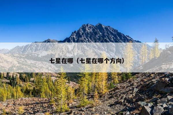 七星在哪（七星在哪个方向）