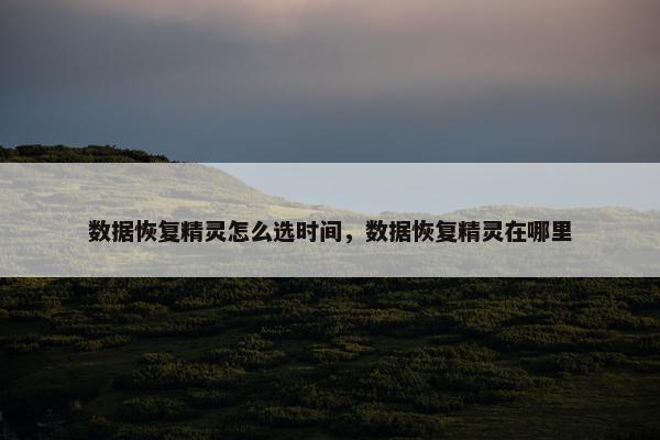 数据恢复精灵怎么选时间，数据恢复精灵在哪里
