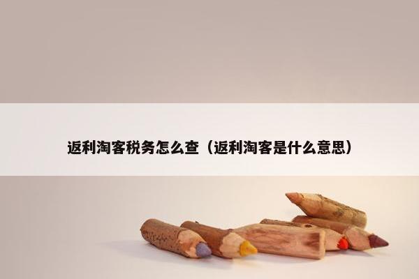 返利淘客税务怎么查（返利淘客是什么意思）