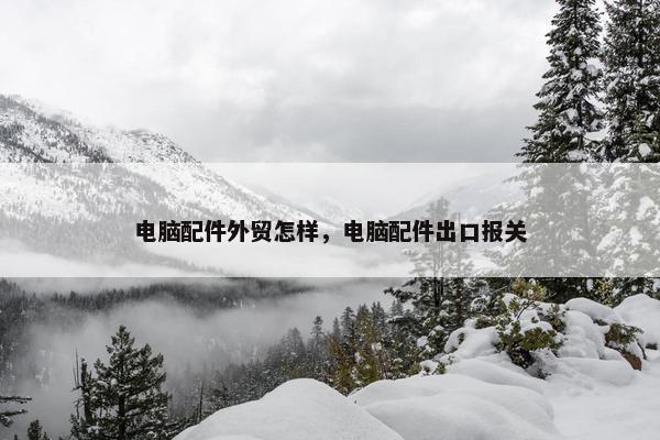 电脑配件外贸怎样，电脑配件出口报关