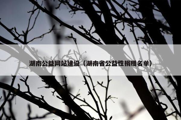 湖南公益网站建设（湖南省公益性捐赠名单）