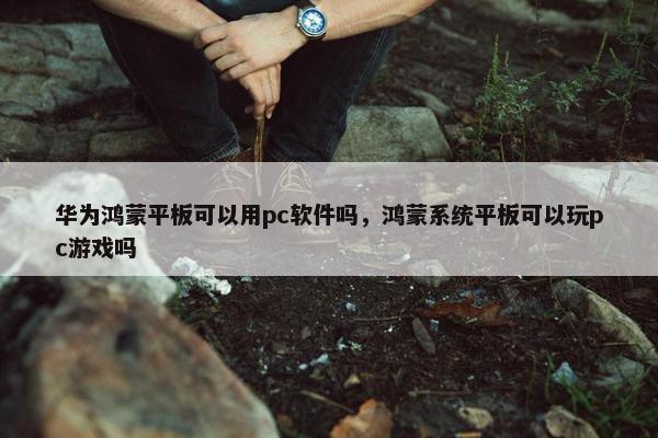 华为鸿蒙平板可以用pc软件吗，鸿蒙系统平板可以玩pc游戏吗