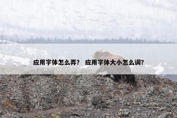 应用字体怎么弄？ 应用字体大小怎么调？