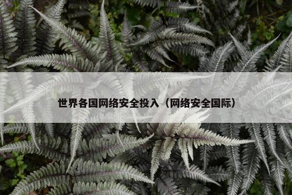 世界各国网络安全投入（网络安全国际）