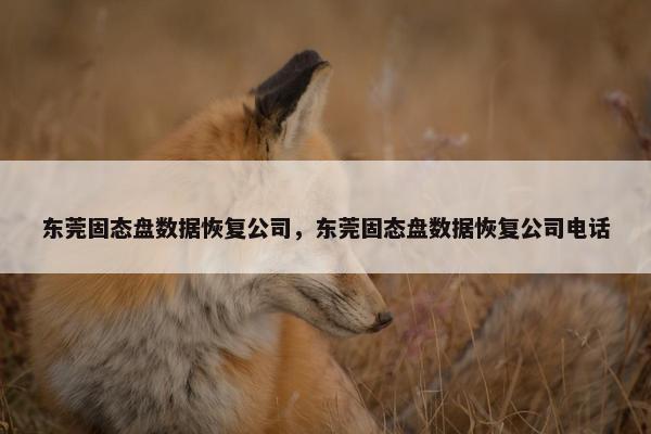 东莞固态盘数据恢复公司，东莞固态盘数据恢复公司电话