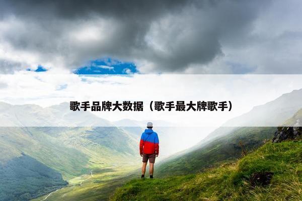 歌手品牌大数据（歌手最大牌歌手）