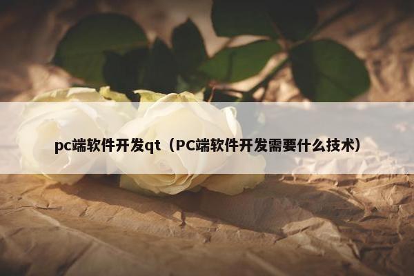 pc端软件开发qt（PC端软件开发需要什么技术）