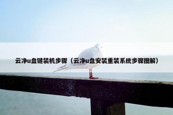 云净u盘键装机步骤（云净u盘安装重装系统步骤图解）