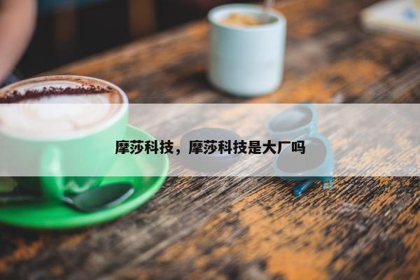 摩莎科技，摩莎科技是大厂吗