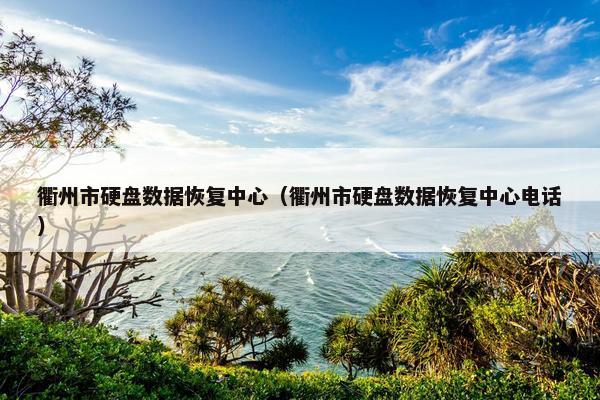 衢州市硬盘数据恢复中心（衢州市硬盘数据恢复中心电话）
