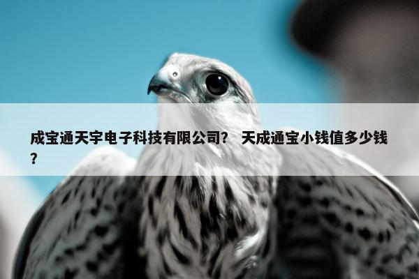 成宝通天宇电子科技有限公司？ 天成通宝小钱值多少钱？