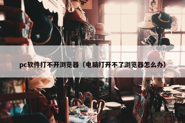 pc软件打不开浏览器（电脑打开不了浏览器怎么办）