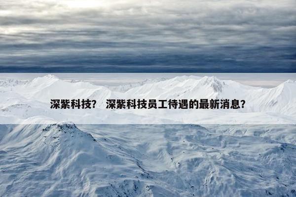 深紫科技？ 深紫科技员工待遇的最新消息？