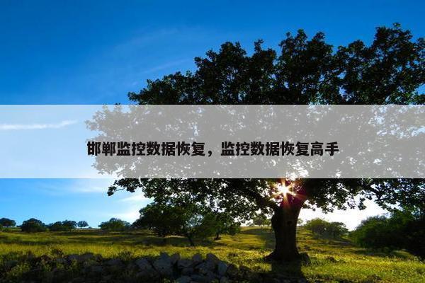 邯郸监控数据恢复，监控数据恢复高手