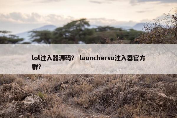 lol注入器源码？ launchersu注入器官方群？