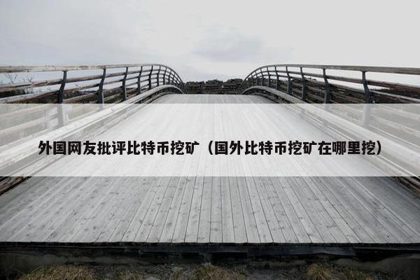 外国网友批评比特币挖矿（国外比特币挖矿在哪里挖）