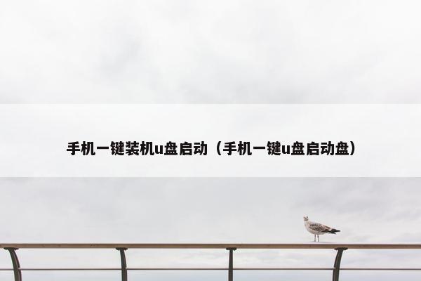 手机一键装机u盘启动（手机一键u盘启动盘）