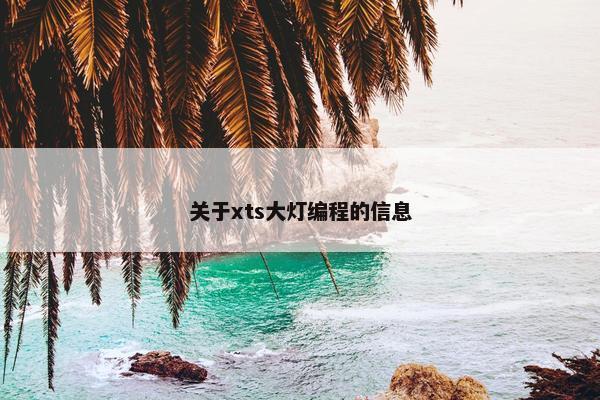 关于xts大灯编程的信息