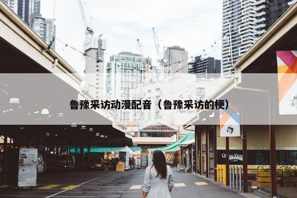 鲁豫采访动漫配音（鲁豫采访的梗）