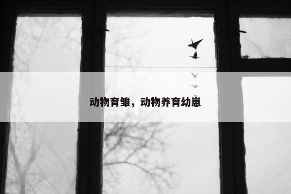 动物育雏，动物养育幼崽