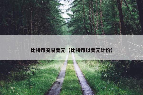 比特币交易美元（比特币以美元计价）