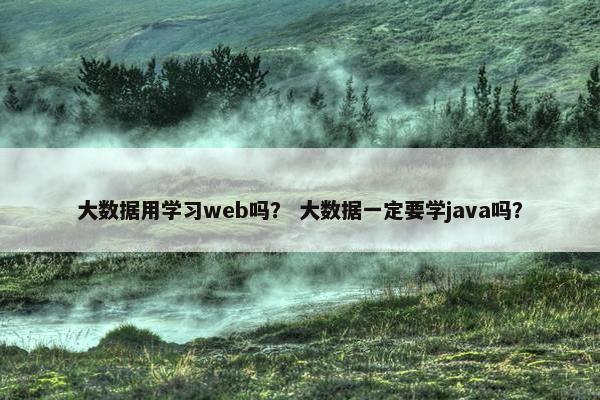 大数据用学习web吗？ 大数据一定要学java吗？