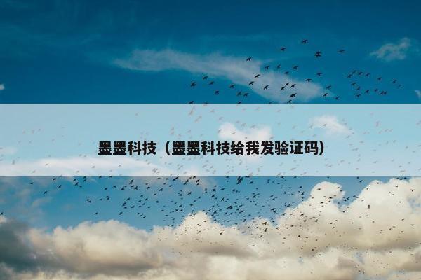 墨墨科技（墨墨科技给我发验证码）