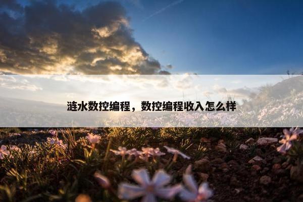 涟水数控编程，数控编程收入怎么样