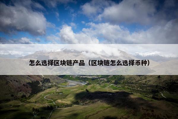 怎么选择区块链产品（区块链怎么选择币种）