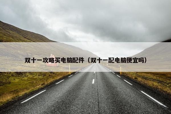 双十一攻略买电脑配件（双十一配电脑便宜吗）
