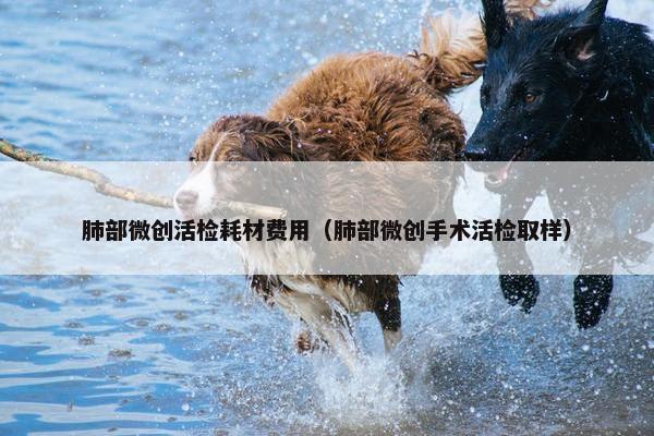 肺部微创活检耗材费用（肺部微创手术活检取样）
