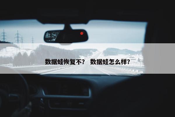 数据蛙恢复不？ 数据蛙怎么样？
