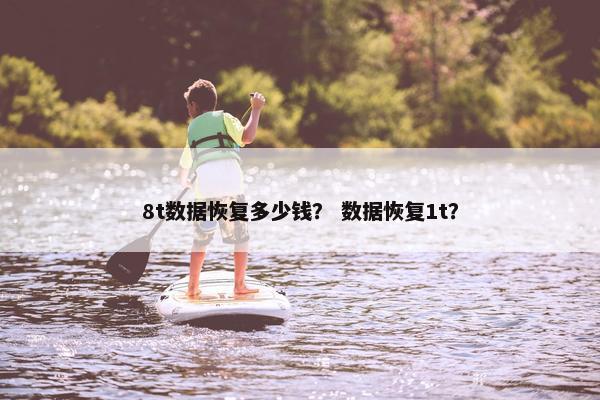8t数据恢复多少钱？ 数据恢复1t？