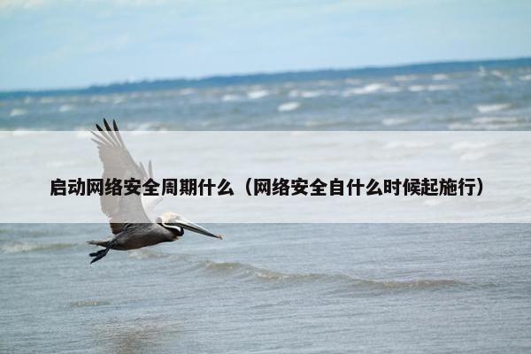 启动网络安全周期什么（网络安全自什么时候起施行）
